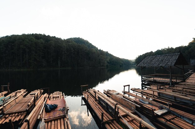 Molo della zattera di bambù dal fiume nella natura di sera