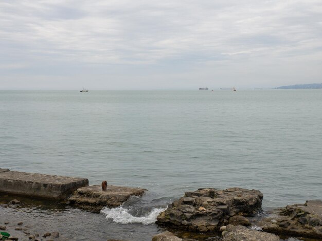 Molo di pietra Posto di ormeggio per le navi Porto del deserto