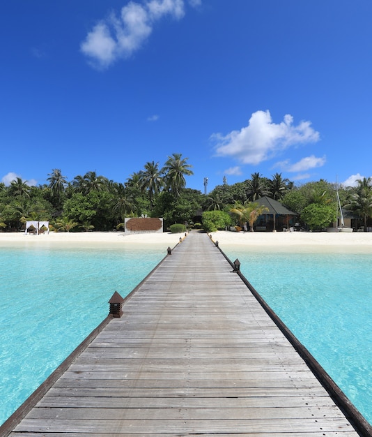 molo in legno su un'isola tropicale Maldive