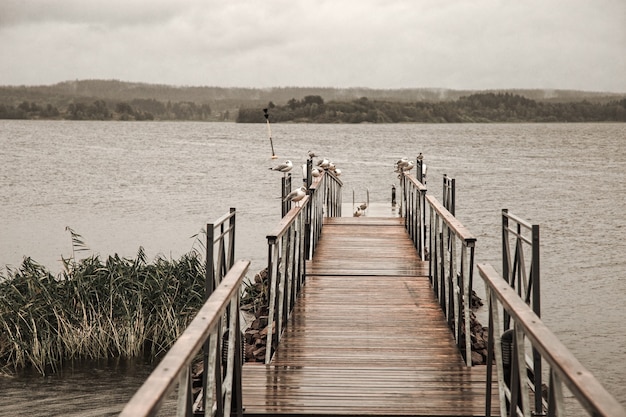 Molo sul lago Ladoga Carelia Russia Paesaggio con superficie dell'acqua del ponte di legno