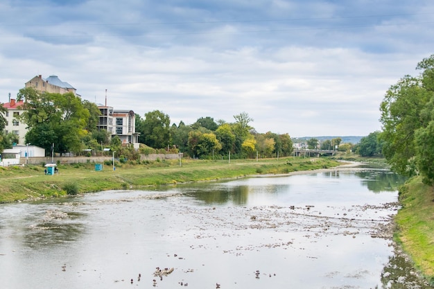 Molte anatre sul fiume