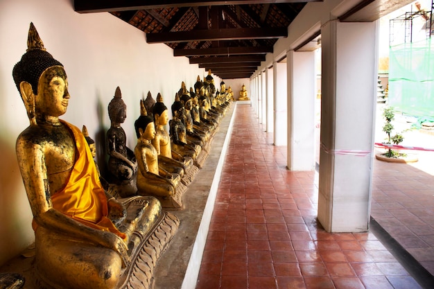 Molte antiche statue di buddha d'oro in ubosot di Wat Phra Borommathat Chaiya tempio nel distretto di Chaiya a Surat Thani Thailandia
