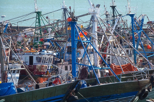 Molte barche da pesca in porto