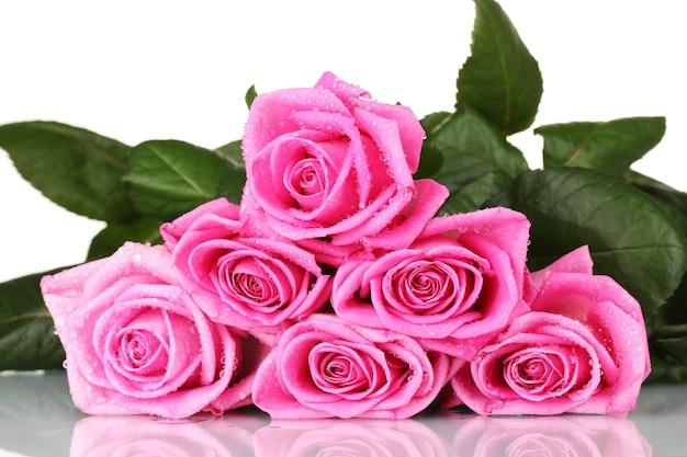 Molte rose rosa isolate su bianco