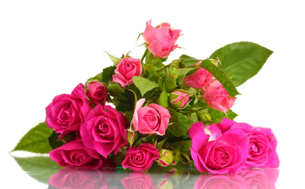 Molte rose rosa isolate su bianco