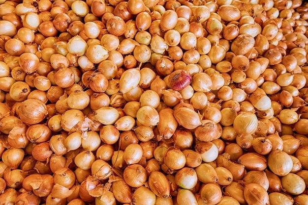 Molti bulbi di cipolle dorate come sfondo o texture Concetto di raccolta e agricoltura di Vegetabke