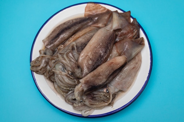 Molti calamari crudi non congelati sul piatto bianco sull'azzurro