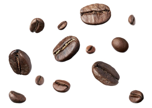 Molti chicchi di caffè arrostiti che volano su uno sfondo bianco