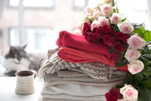 Molti fiori di rose. Diversi vestiti caldi e pantofole vicino alla finestra e un gatto. Maglioni per l'autunno e l'inverno. Tè e un gatto. Spazio libero per il testo.