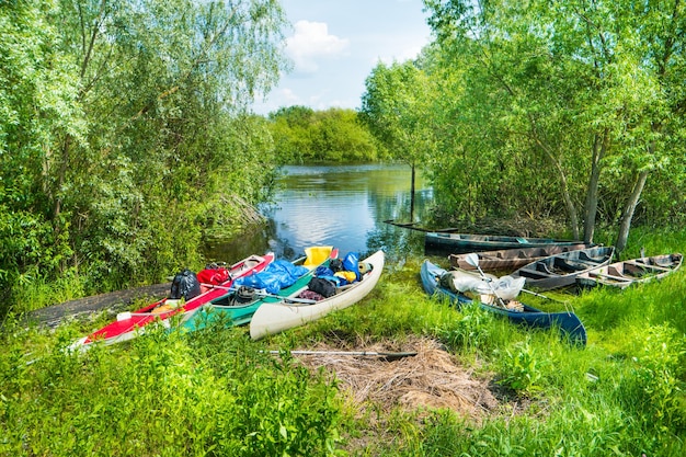 Molti kayak caricati con carico sulla riva del fiume con alberi e cespugli verdi