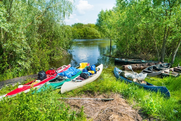 Molti kayak caricati con carico sulla riva del fiume con alberi e cespugli verdi