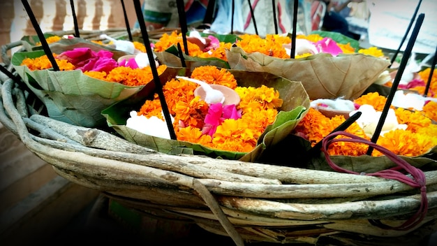 Molti petali di fiori con bellissimi colori