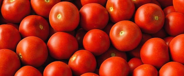 Molti pomodori rossi sono in vendita al supermercato