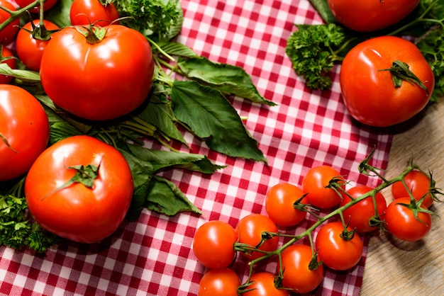 Molti pomodori sono posti su una tovaglia a quadri.