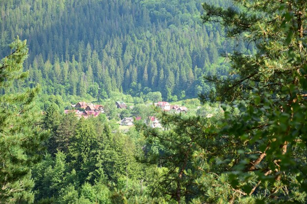 Molto più in basso, sotto la montagna, c'è un piccolo villaggio circondato da un verde bosco estivo. Fotografato di lato attraverso il fogliame, con un primo piano sfocato