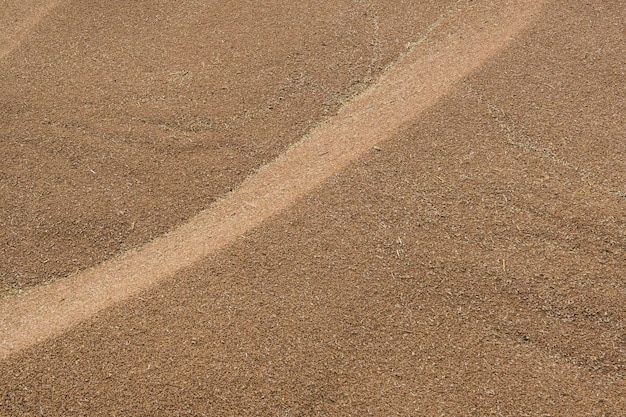 Molto triticale di frumento invernale rosso duro o granella di segale