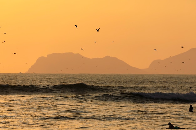 Momento scenico di tramonto con le siluette dei surfisti e dei gabbiani sulla spiaggia dell'oceano Pacifico a Lima, Perù