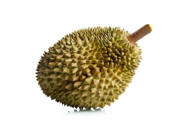 Mon Thong Durian Fruit