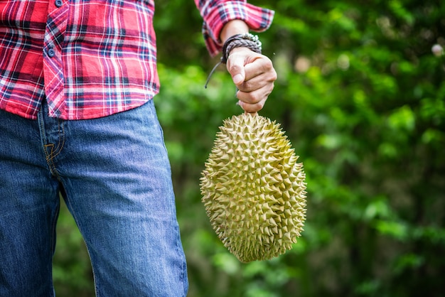 Mon Thong Durian Frutto in mano