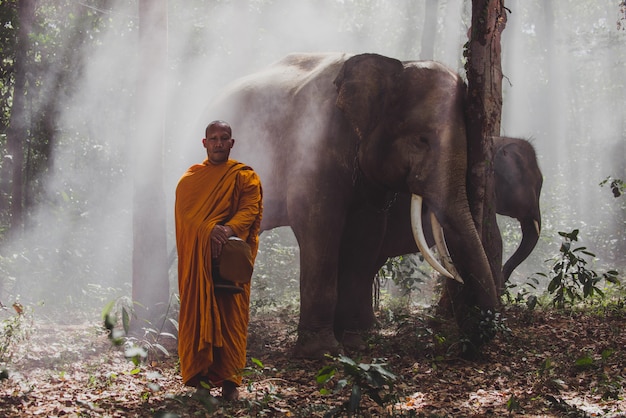 Monaci tailandesi che camminano nella giungla con gli elefanti