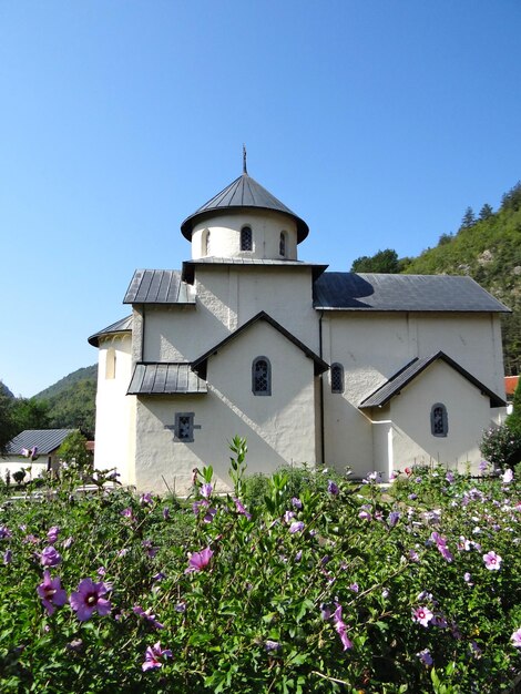 monastero bianco in montagna con fiori viola davanti, primo piano isolato