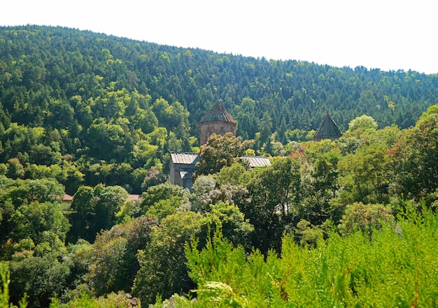 Monastero di Sapara uno storico monastero ortodosso georgiano tra il verde canyon boscoso della Georgia
