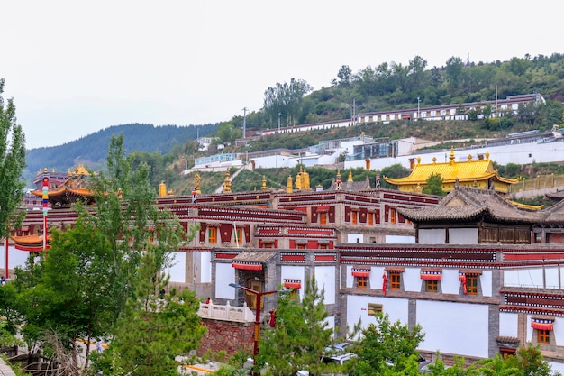 Monastero di Ta'er, Kumbum. Xining, Qinghai, Paese di Huangzhong, Cina. Questo monastero buddista tibetano fondato nel 1583 è secondo solo a Lhasa per importanza.