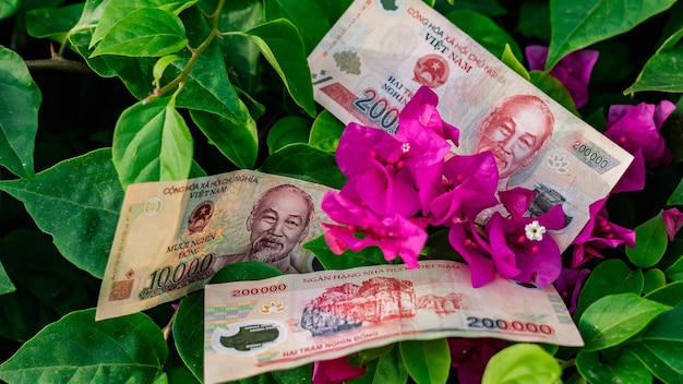 Moneta vietnamita 200 000 e 10 000 dong banconota fiore simbolo del reddito cresce prospero