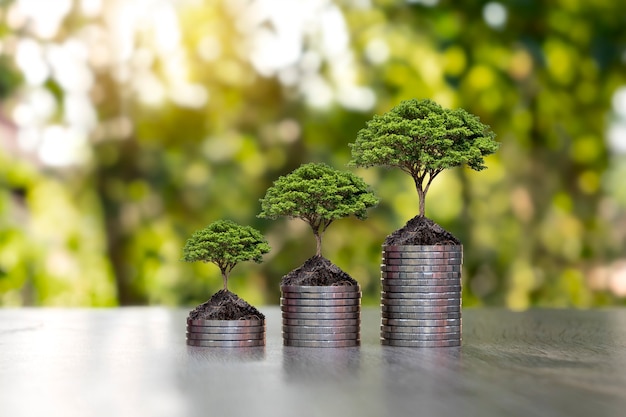 Monete e piante vengono coltivate su un mucchio di monete per la finanza e le banche. L'idea di risparmiare denaro e aumentare le finanze.