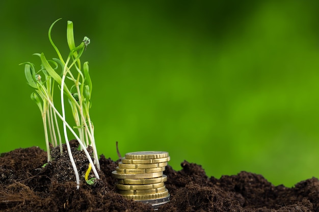 Monete in euro e germogli di piante il concetto di crescita finanziaria