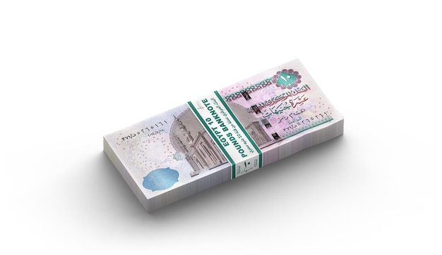 MONEY10 sterline egiziane 3D banconote egiziane di 10 banconote su sfondo bianco