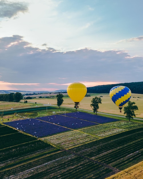 Mongolfiera con cesto sopra il campo di lavanda