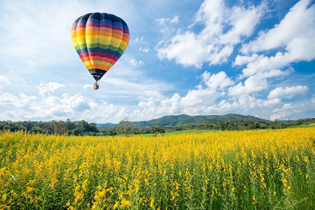 Mongolfiera su campi di fiori gialli contro il cielo blu