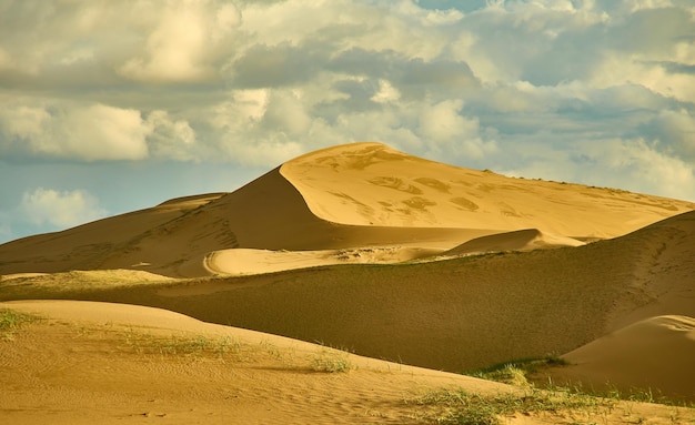 Mongolia Sands Mongol Els deserto di dune sabbiose