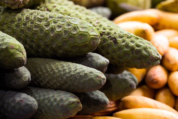 Monstera Deliciosa frutta