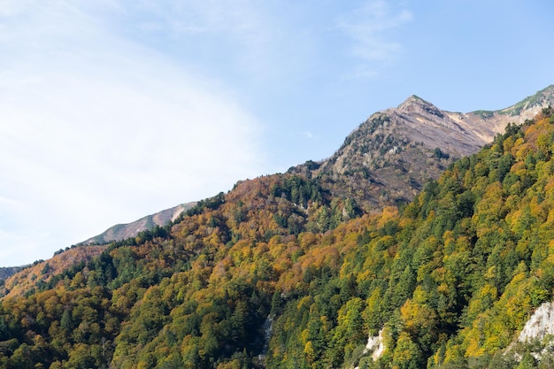 Montagna a Tateyama