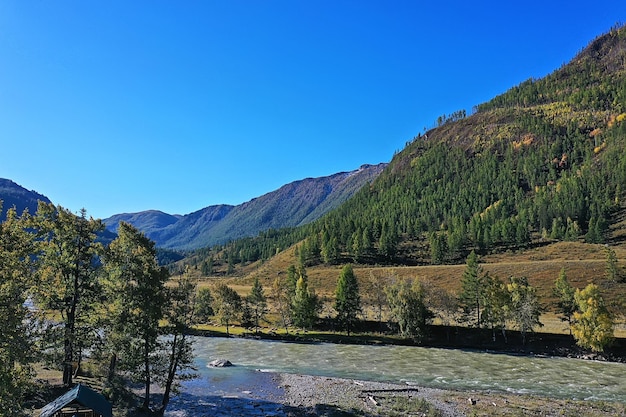 montagna altai fiume vista dall'alto drone, paesaggio altai turismo vista dall'alto