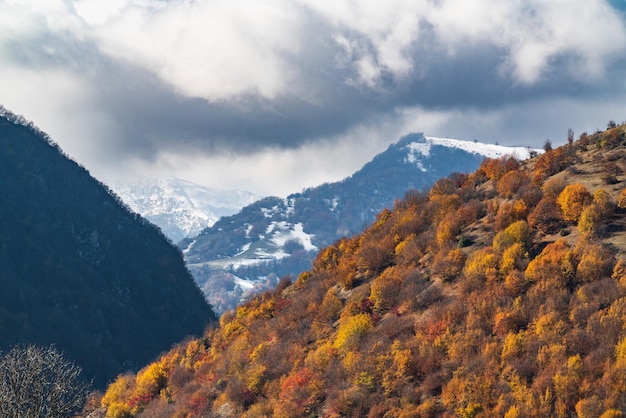 Montagna autunno foresta e neve sulle cime