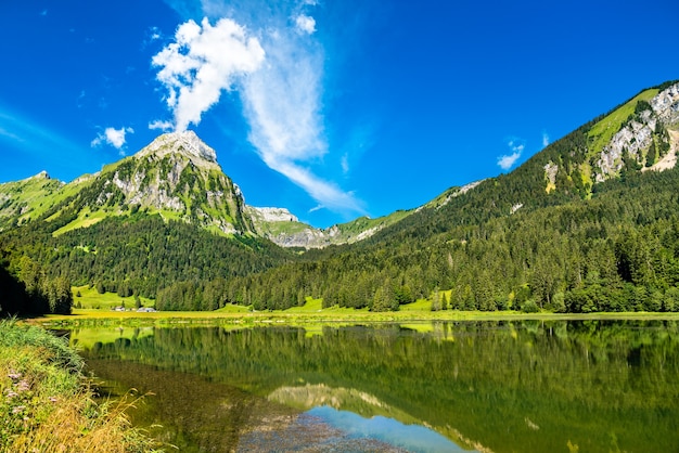 Montagna Brunnelistock al lago Obersee nelle Alpi Svizzere