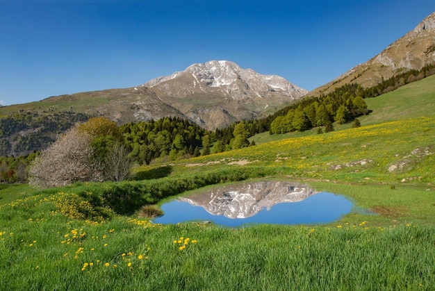 Montagna che riflette