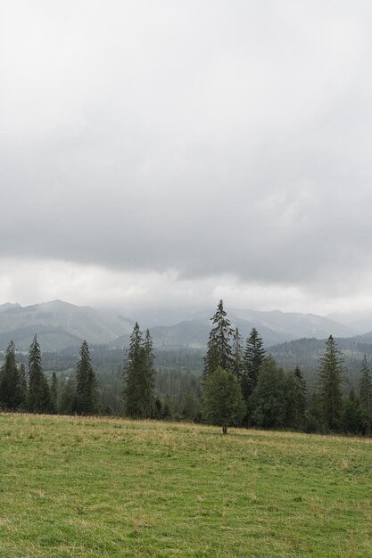 Montagna, collina, foresta, cielo e nuvole, paesaggio naturale panoramico