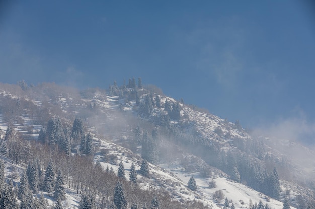 montagna coperta di neve