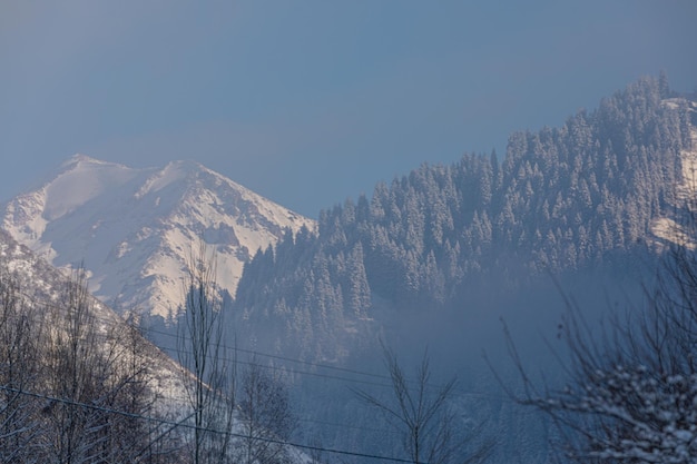 montagna coperta di neve