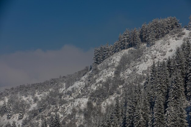 montagna coperta di neve