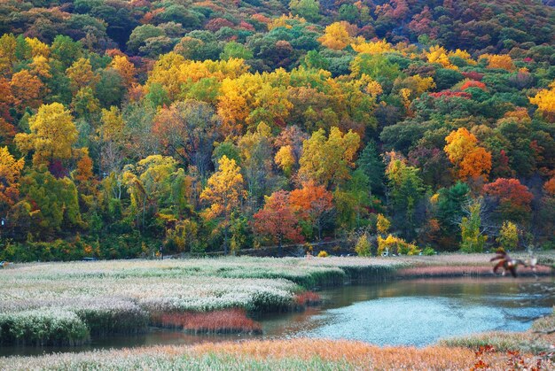 Montagna d'autunno con il lago