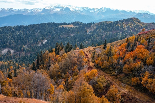 Montagna d'autunno