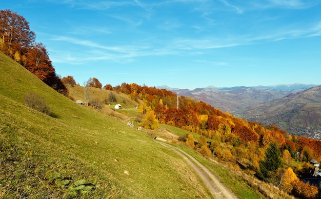 Montagna dei Carpazi d'autunno Rakhiv Ucraina