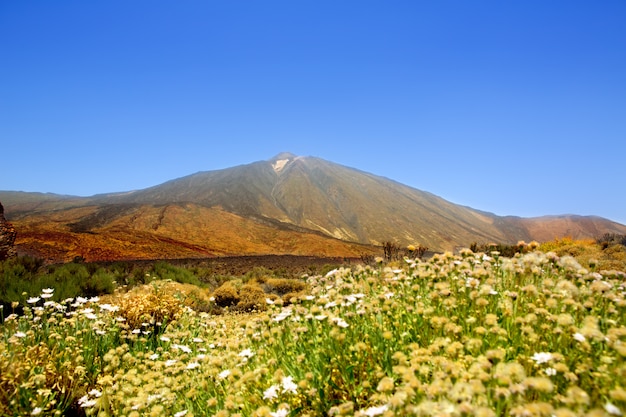 Montagna del Parco Nazionale del Teide a Tenerife