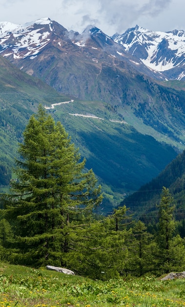 Montagna delle Alpi Passo del San Gottardo o St