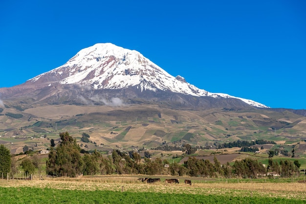 Montagna delle Ande Cotopaxi in Ecuador